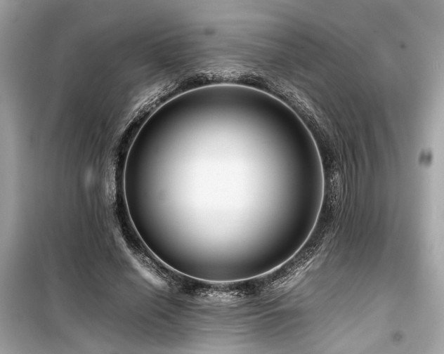 X0000099570638200805161518