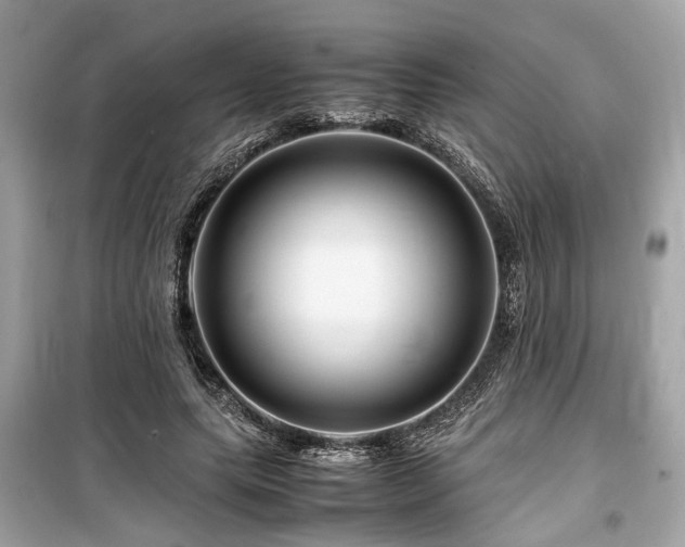 X0000099570639200805161518