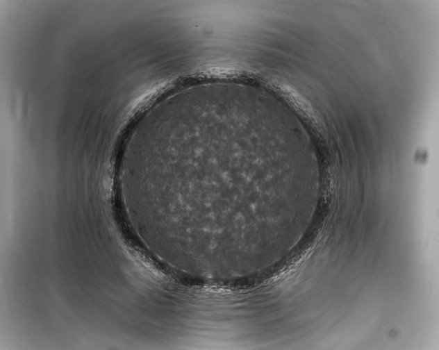 X0000099570640200805161518