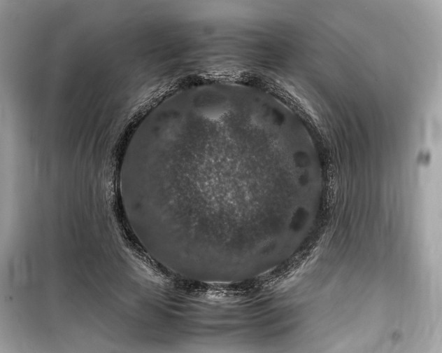 X0000099570641200805161518