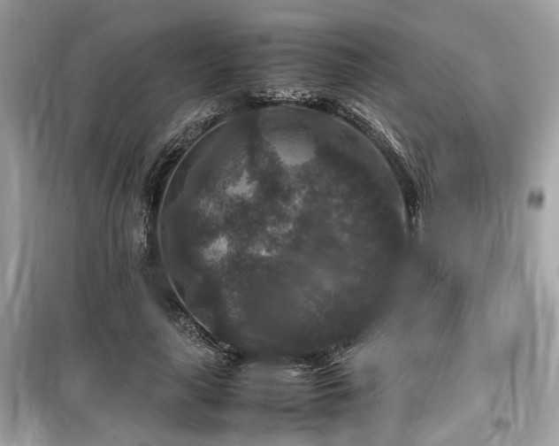 X0000099570643200805161518