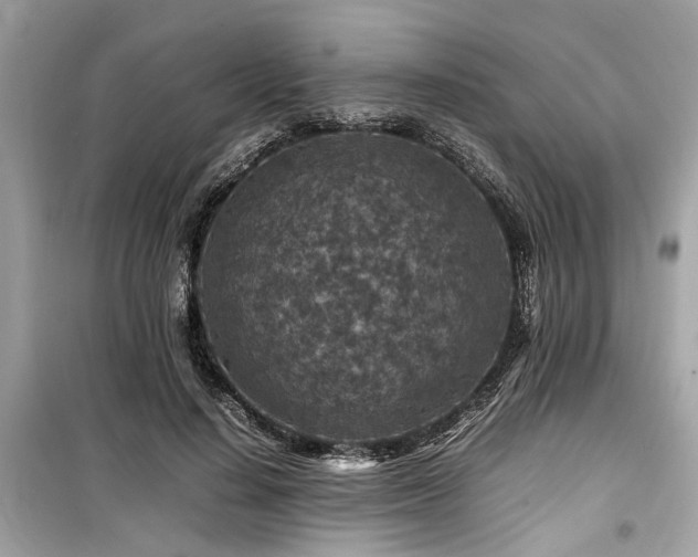 X0000099570644200805161518