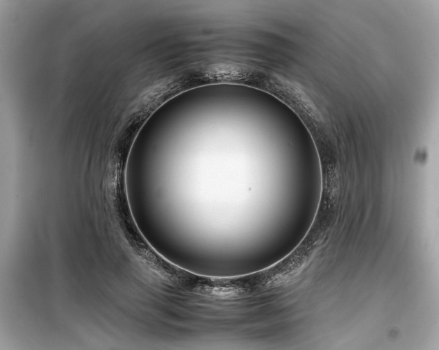 X0000099570645200805161518