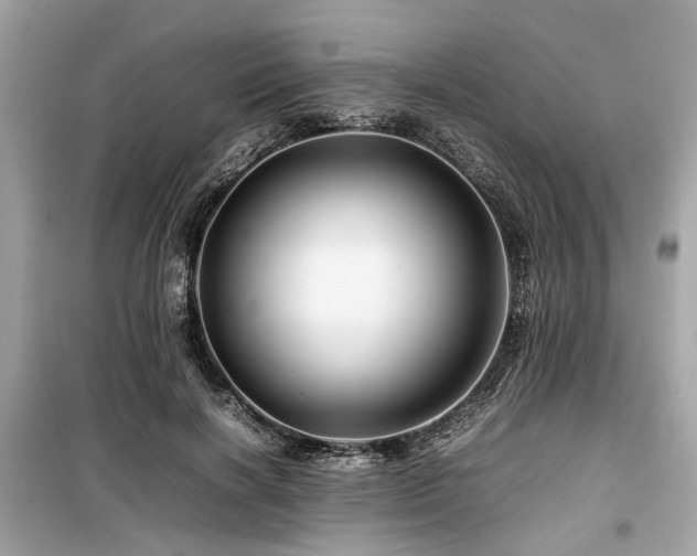 X0000099570646200805161518