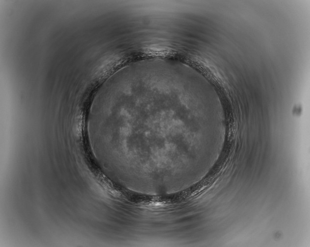 X0000099570647200805161518