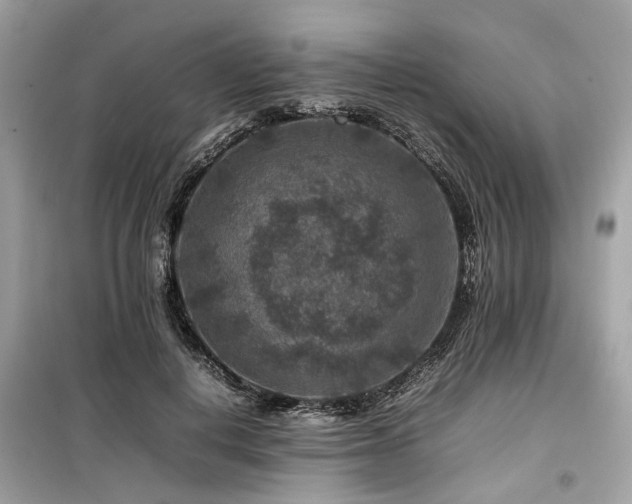 X0000099570648200805161518