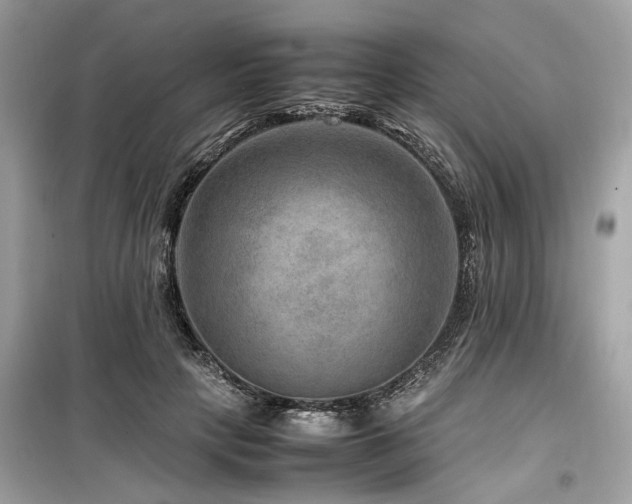 X0000099570649200805161518