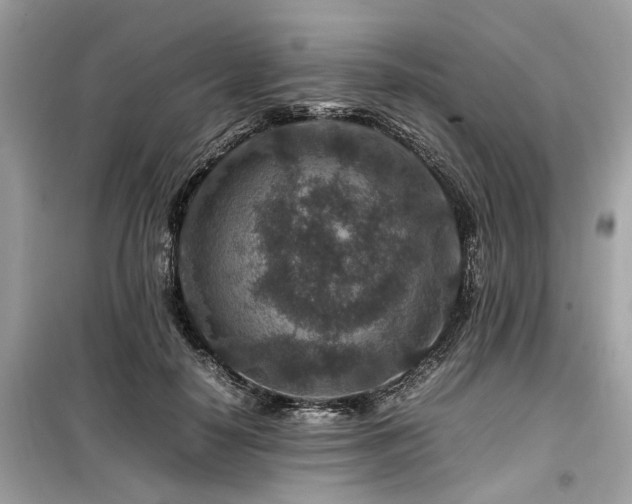 X0000099570650200805161518