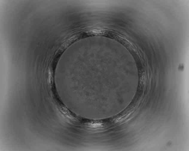 X0000099570651200805161518