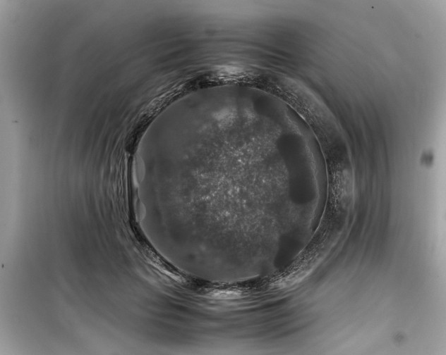 X0000099570653200805161518