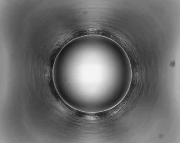 X0000099570654200805161518