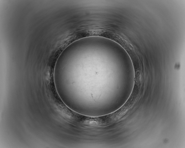 X0000099570655200805161518