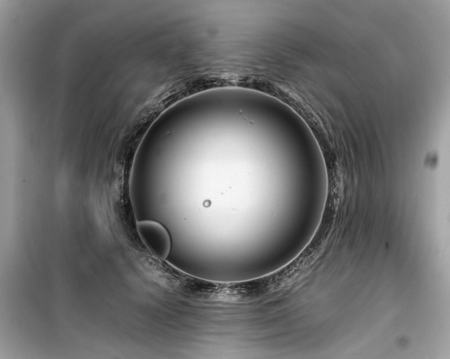 X0000099570656200805161518