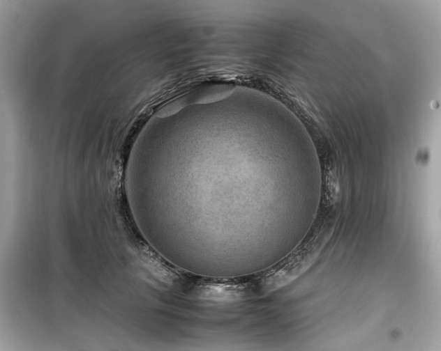 X0000099570657200805161518