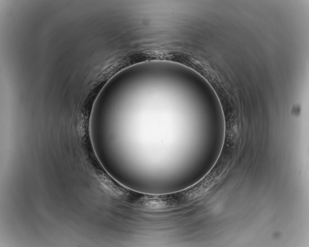 X0000099570658200805161518