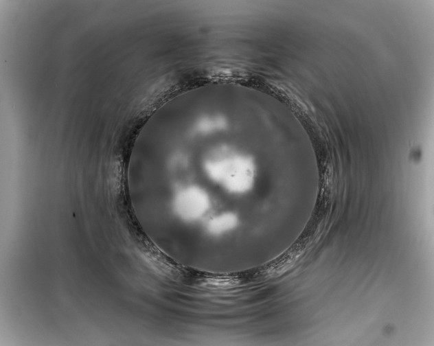 X0000099570659200805161518