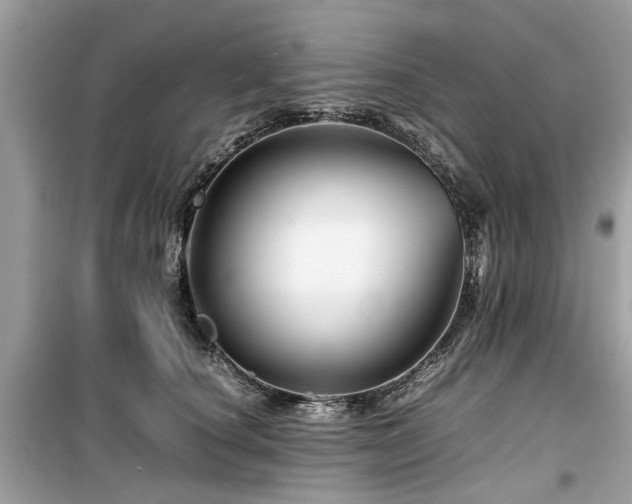 X0000099570660200805161518