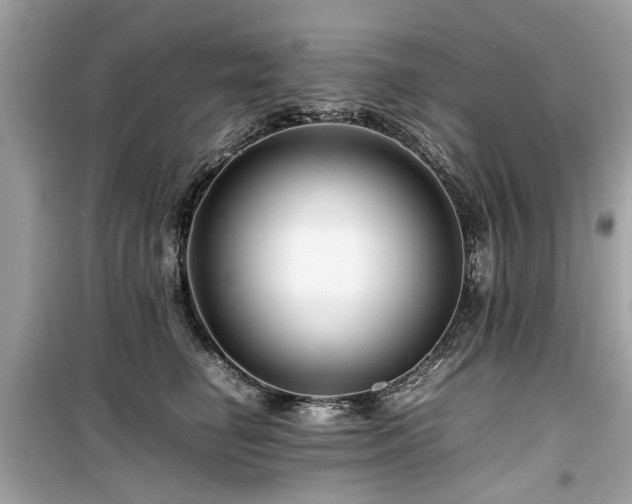 X0000099570662200805161518