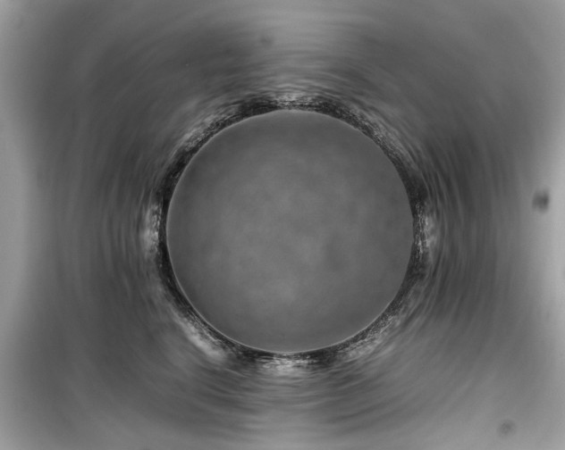 X0000099570664200805161518