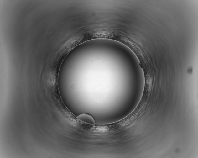 X0000099570665200805161518