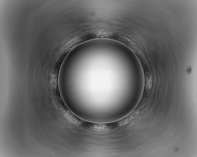 X0000099570666200805161518