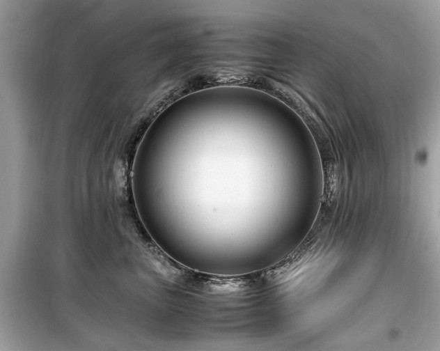 X0000099570667200805161518