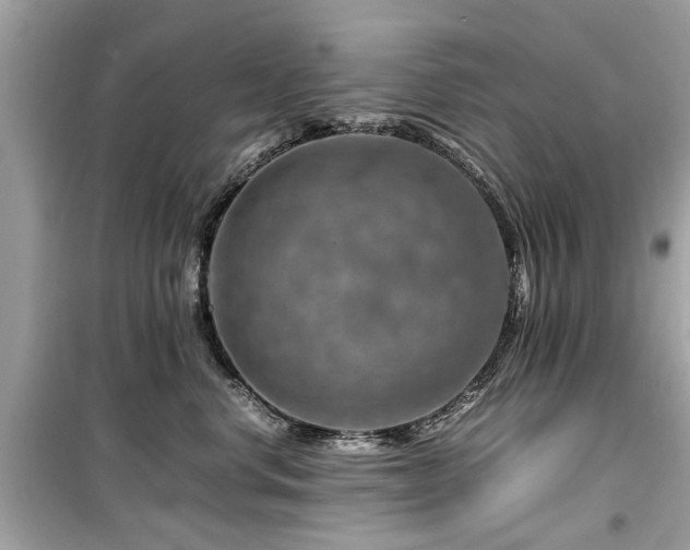 X0000099570668200805161518