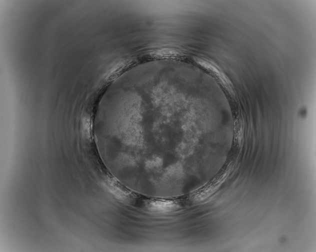 X0000099570669200805161518