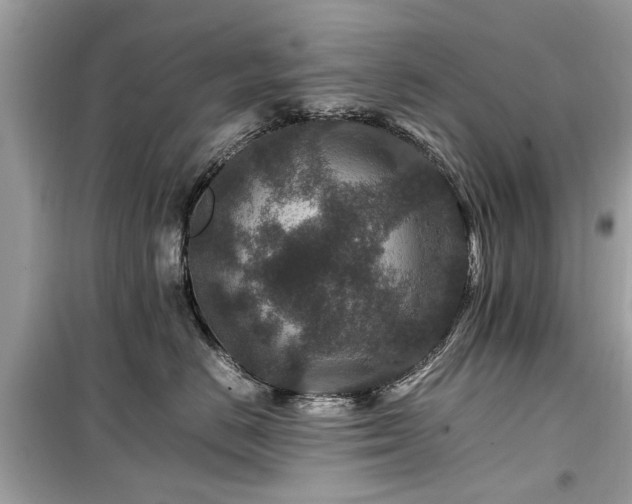 X0000099570670200805161518