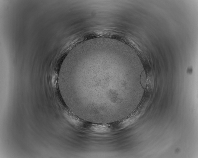 X0000099570671200805161518