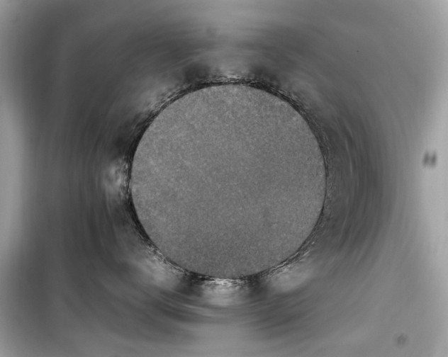 X0000099570672200805161518