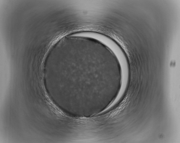 X0000099570673200805161517