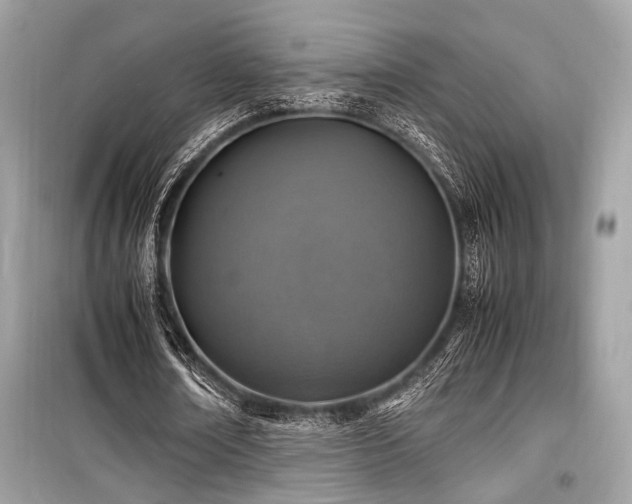 X0000099570674200805161517