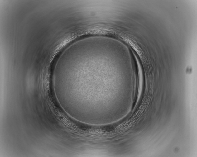 X0000099570675200805161517