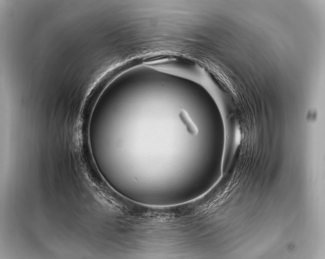 X0000099570676200805161517