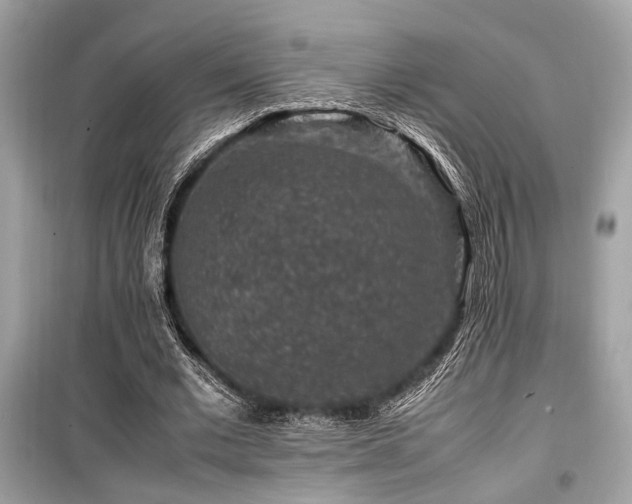 X0000099570677200805161517