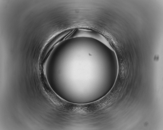 X0000099570680200805161517