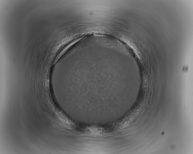 X0000099570681200805161517