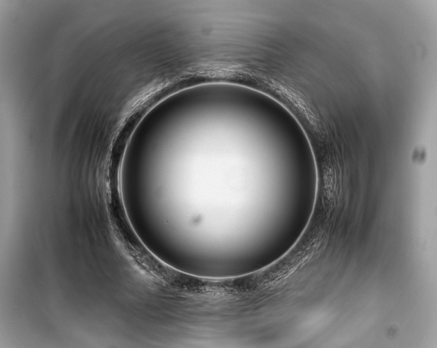 X0000099570682200805161517