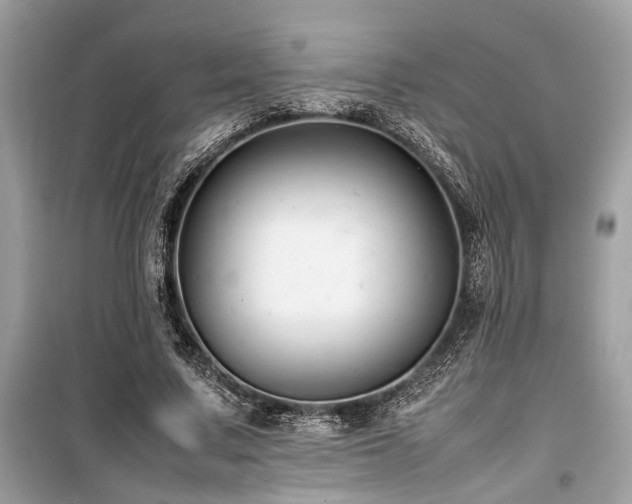 X0000099570683200805161517