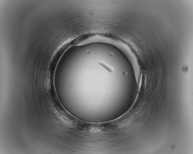 X0000099570684200805161517