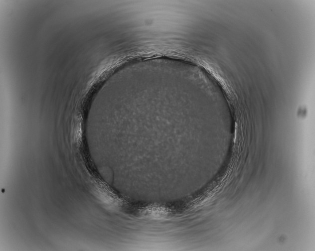 X0000099570685200805161517