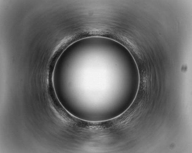 X0000099570686200805161517