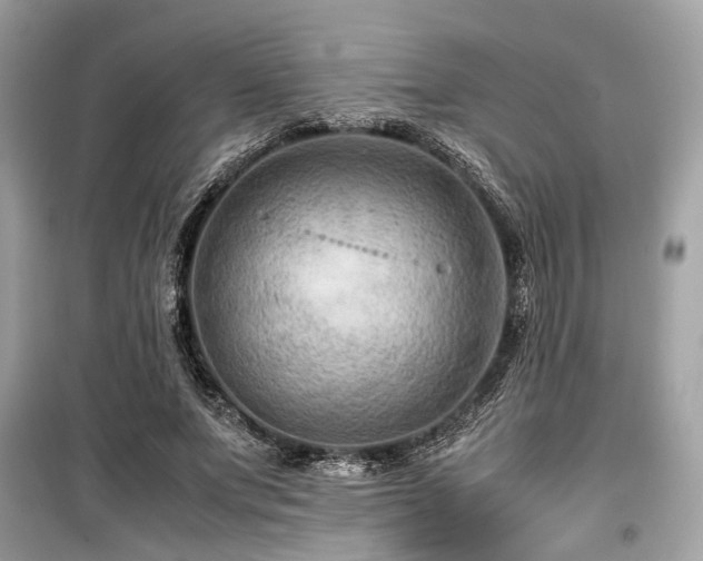 X0000099570687200805161517