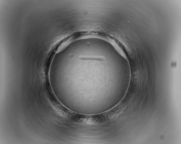 X0000099570688200805161517