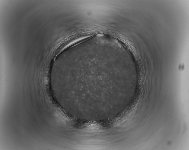 X0000099570689200805161517