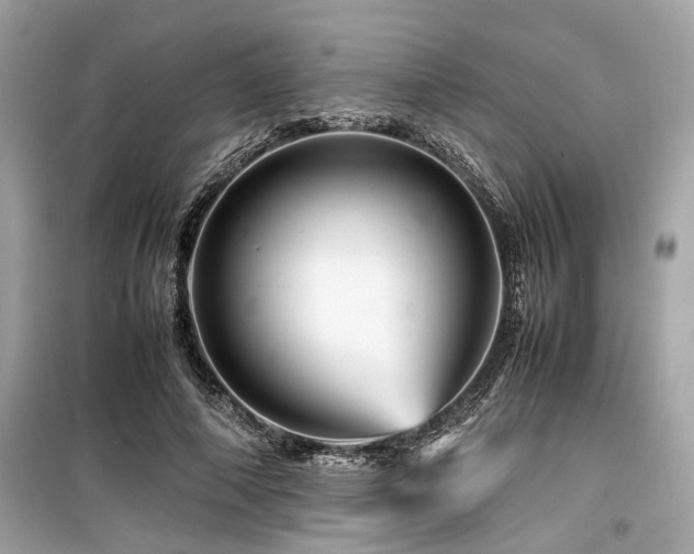 X0000099570690200805161517