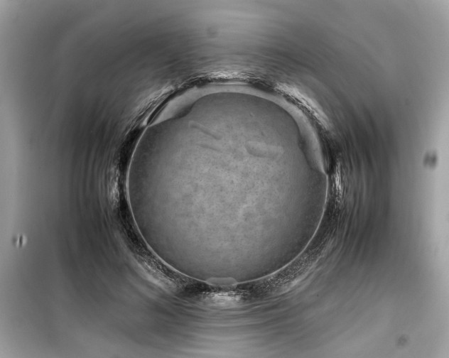 X0000099570692200805161517