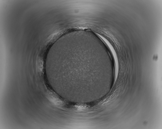 X0000099570693200805161517