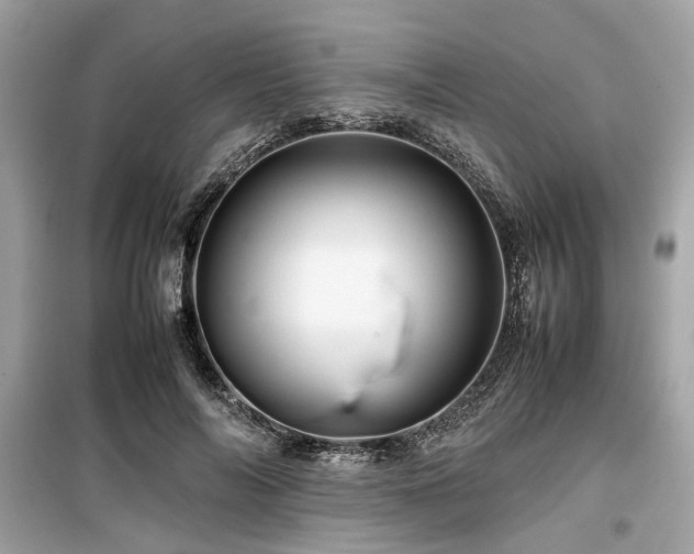 X0000099570694200805161517